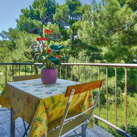 Pet Friendly In Hébergement de vacances